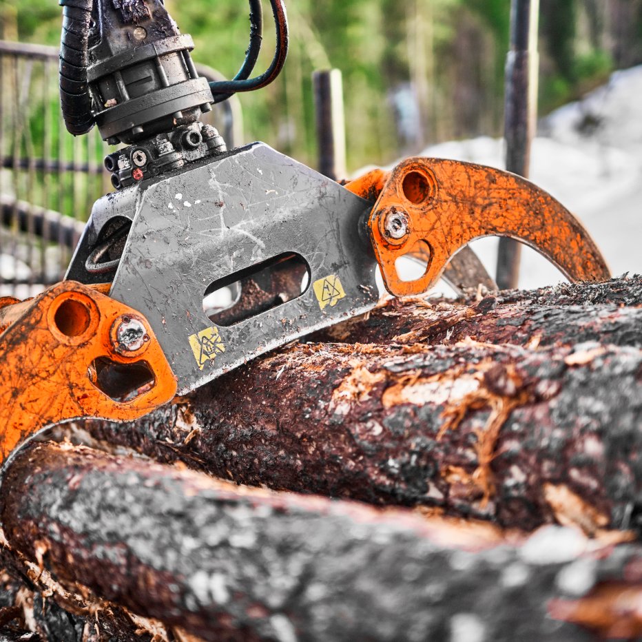 Allskog_DSC0619