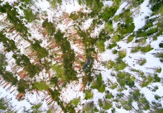 Allskog_DJI_0482_web