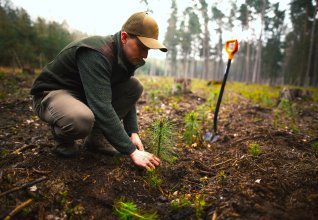 Shutterstock_2439657821_man_planting_young_pine_seedling_in_forest_REDIGERTE_FARGER_ALLSKOG_2 (1)