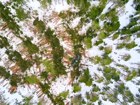 Allskog_DJI_0482_web