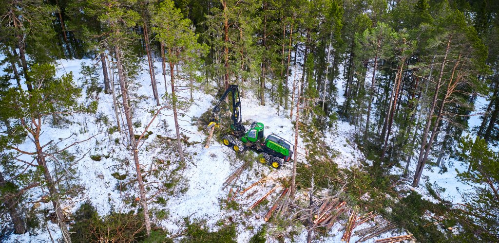 Side 1 - Allskog_DJI_0467 (1)