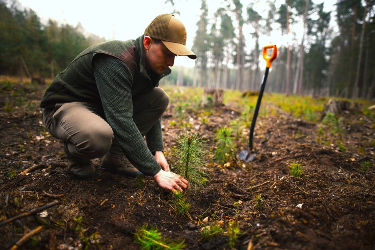 Shutterstock_2439657821_man_planting_young_pine_seedling_in_forest_REDIGERTE_FARGER_ALLSKOG_2 (1).jpg